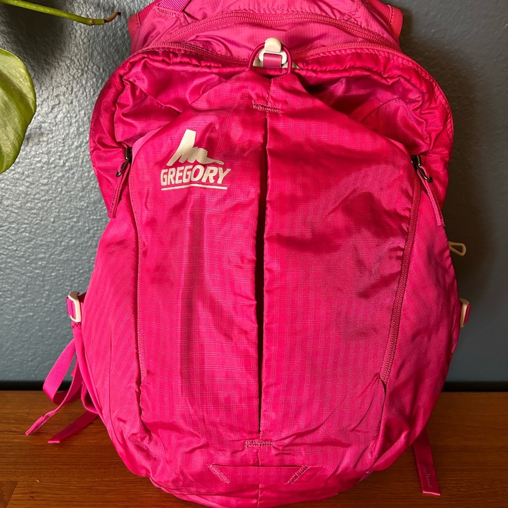 Gregory Hot Pink Backpack